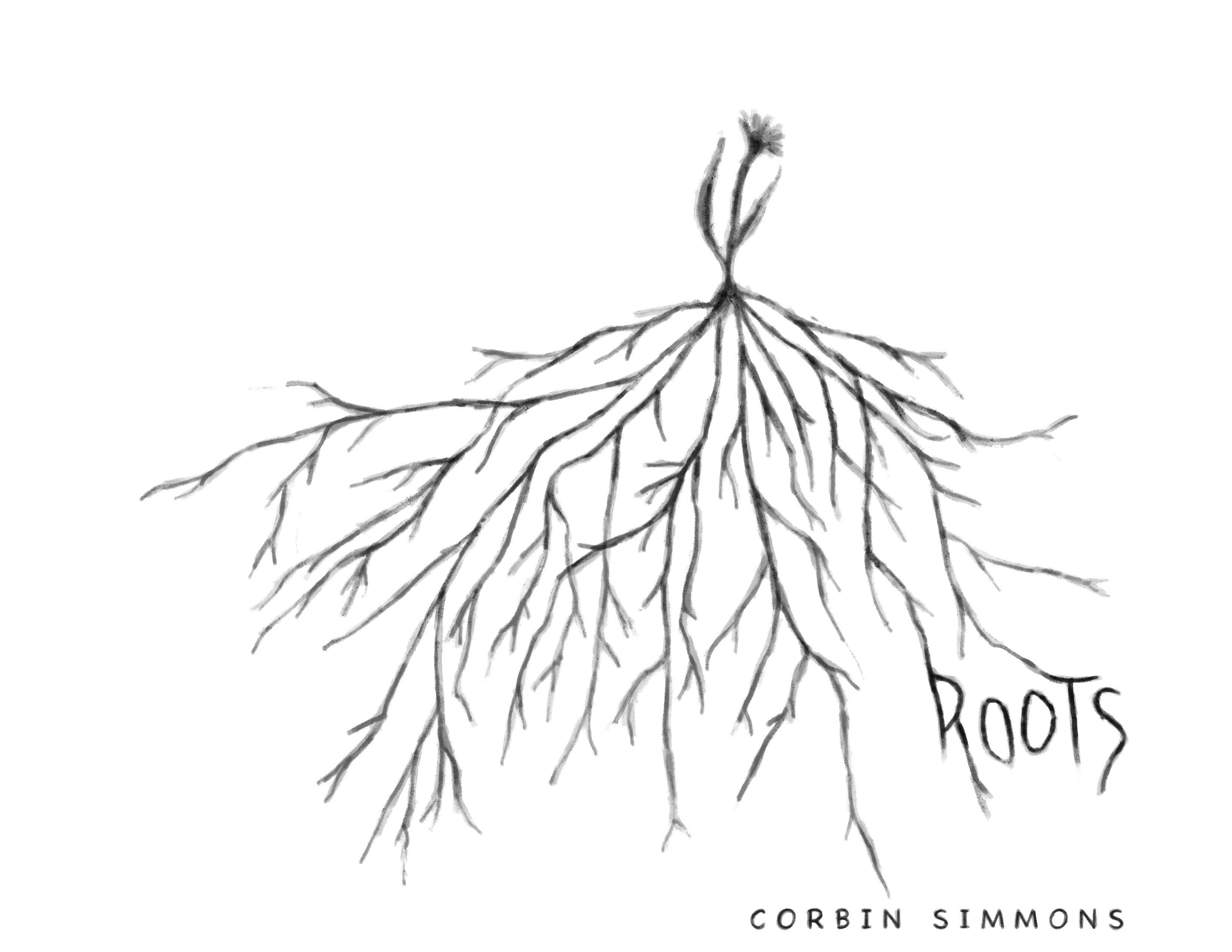 book cover with a black ink drawing of a small flower with a large root network, and roots drawn in an artistically spooky, organic way